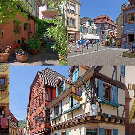 Le Stanislas Apartamento
