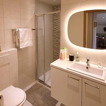 公寓 Le Stanislas 科尔马