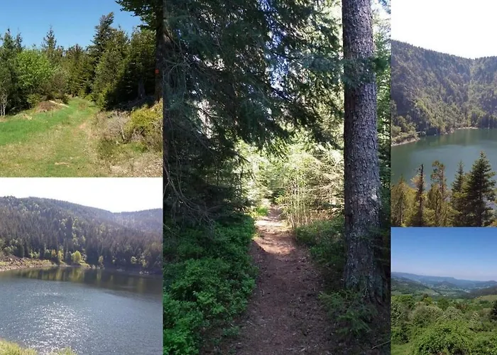 Appartement Le Stanislas