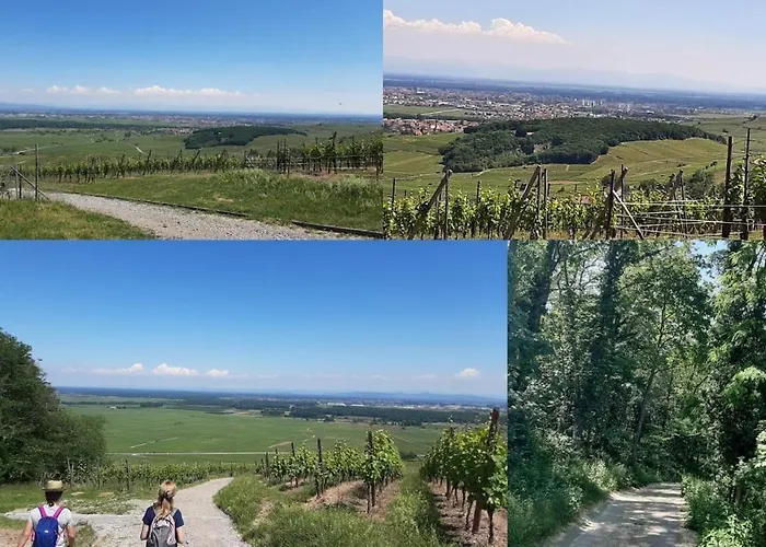 Le Stanislas Appartement