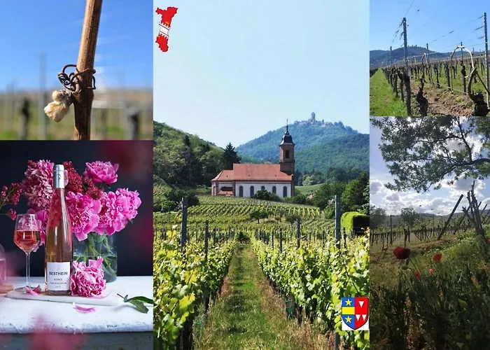 Appartement Le Stanislas *