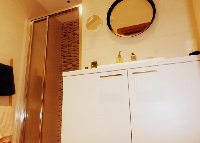 Le Stanislas Appartement Colmar