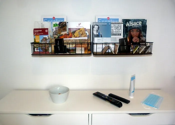 Le Stanislas Appartement Colmar