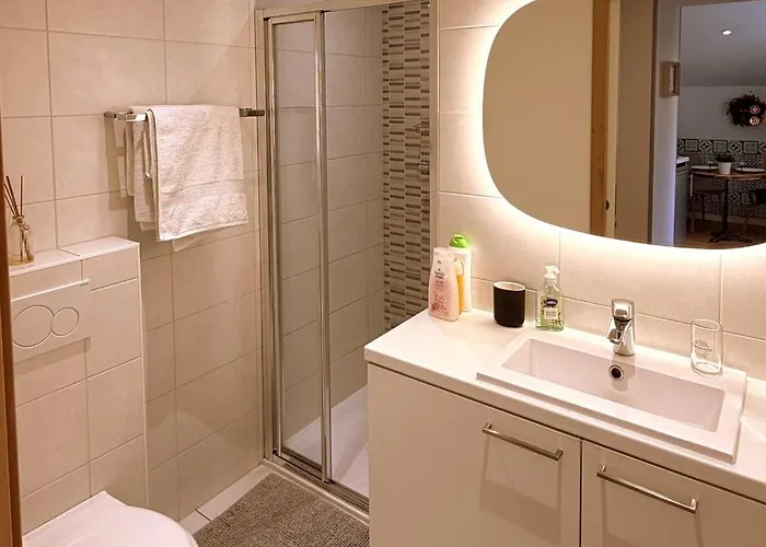 公寓 Le Stanislas 科尔马